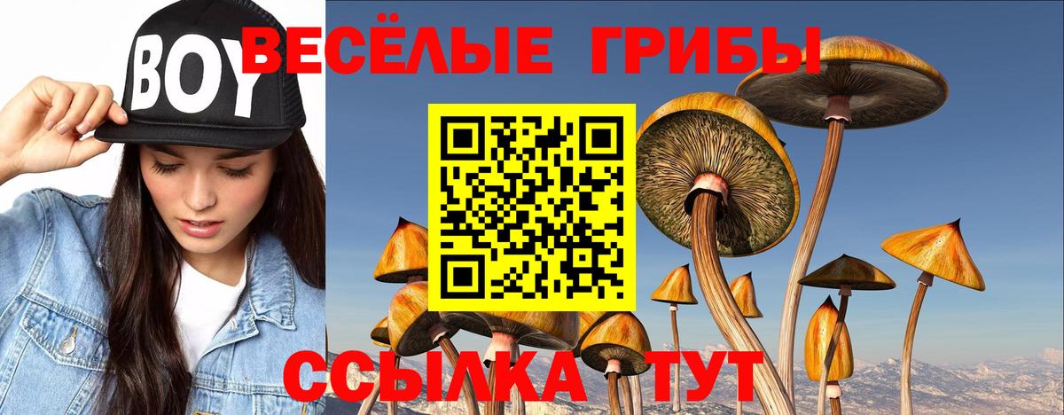 Галлюциногенные грибы мицелий Шали