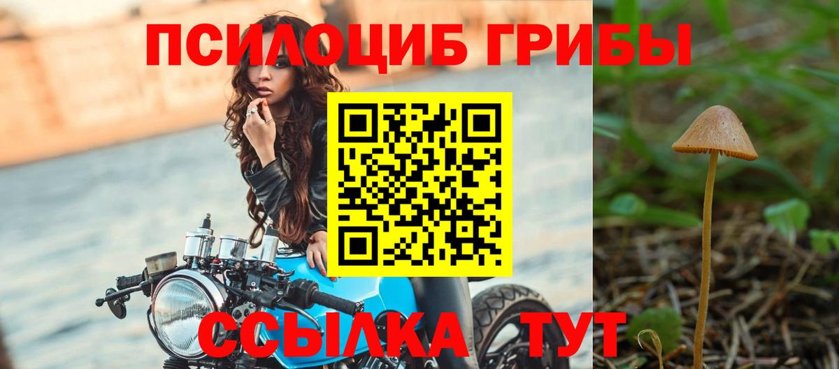 Шали  Псилоцибиновые грибы мухоморы  Вход с VPN 
